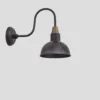 Swan Neck Dome Wall Light - 8 Inch - Pewter