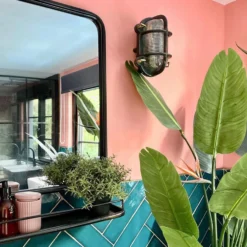 6 Inch Black Bulkhead Outdoor & Bathroom Oval Wall Light With Versatile Side & Rear Wiring Options 18 6 Inch Black Bulkhead Outdoor & Bathroom Oval Wall Light With Versatile Side & Rear Wiring Options -Industville Shop BK IP65 OWL6 BK BW RBLRINDUSTVILLEB2CBATHROOMPLANTPINK thesmallsicilian insitu