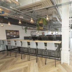 Brooklyn Balloon Cage Pendant - 6 Inch - Copper -Industville Shop BR BCP6 P BH INDUSTVILLE B2C HR KineticWorkplaceLimited www.kinetic design.co 56 2