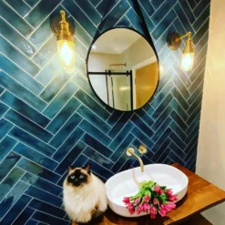 Brooklyn Outdoor & Bathroom Wall Light - Brass -Industville Shop BR IP65 WL BH BR INDUSTVILLE B2C BATHROOM darby renovation