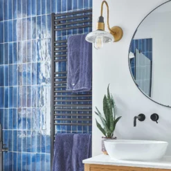 Swan Neck Glass Dome Wall Light - 8 Inch - Brass -Industville Shop SN GLDWL8 B B2B BATHROOM BLUE WALLPAPER EnzoCerriPhotography KBHBramfieldRoad 192 1