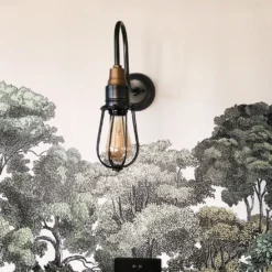 Swan Neck Wire Cage Wall Light - 4 Inch - Pewter -Industville Shop SN WCWL4 P Industville residential wall wallpaper trees nature Debbie Terry